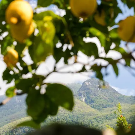 شقة Palazzo Ciannelli