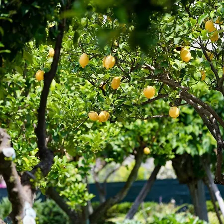 شقة Palazzo Ciannelli *