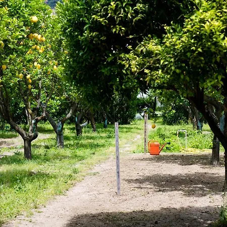 Palazzo Ciannelli * ايسكيا