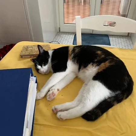 Palazzo Ciannelli شقة