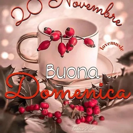 Palazzo Ciannelli ايسكيا